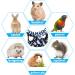 Double-Layer Pet Cage Hammock Bed for Small Animals | Soft Guinea Pig Parrot Ferret Squirrel Hamster Rat Accessories - Blue - Buy Online on GoSupps.com