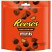 Reese's Peanut Butter Cups Minis - American Classic Snack | 15 x 90g | International Shipping Available - Buy Online on GoSupps.com