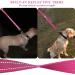 Vivaglory Short Dog Leash - 61cm Pink Traffic Leash for Medium & Large Dogs - Durable Training Line - Buy Online on GoSupps.com