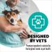 Premium Dog Food for Adults (1-7 Years) | Nutritious & Balanced Diet - Buy Online on GoSupps.com