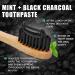 Activated Carbon Toothpaste for Whiter Teeth | Charcoal Whitening & Stain Removal | Fresh Breath | 100g - Buy Online on GoSupps.com