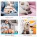 XXL Dog Surgery Recovery Suit | Soft & Breathable Body Suit for Dogs & Cats | Post-Op Onesie for Spay & Castration | International Shipping Available - Buy Online on GoSupps.com