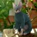 Hjyokuso Sphynx Cats Clothing | Soft & Breathable Cat Sweater for Sphynx Cornish Rex Devon Rex Peterbald | Warm Cat Wear with Four Legs - XL Green - Buy Online on GoSupps.com