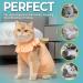 Avont Katzenbody for Cats - Post-Op Recovery Suit Leak Protection & Wound Care - Large Apricot - Buy Online on GoSupps.com