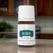 Buy Young Living Rosemary Vitality Essential Oil 5 ml | Antioxidant-Rich Herbaceous Flavor Immune Support & Culinary Uses - International Shipping Available - Buy Online on GoSupps.com