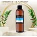100% Pure Fractionated Coconut Oil Liquid 200 ml - Hair Treatment for Skin and Hair - Buy Online on GoSupps.com