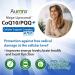 Aurora Nutrascience Mega-Liposomal CoQ10+ | 300 mg Organic Fruit Flavor | 16 fl oz - Buy Online on GoSupps.com