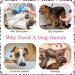 Kuoser Dog & Cat Recovery Bodysuit - Post-Op Surgery Wear Breathable & Anti-Lick Design for Male & Female Pets - Buy Online on GoSupps.com