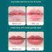 Christmas Stocking Stuffer Lip Balm Pack with Refreshing Fruit and Soothing Honey Flavor Cherry One Size One Size Cherry - Buy Online on GoSupps.com