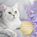 Felisept Home Comfort Catnip Spray 100ml - Natural Sedative & Anti-Scratch Solution for Cats - Buy Online on GoSupps.com
