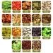 Daily Rebody Herbal Detox Foot Soak Beads - 2 Pack (10 Pieces) - Buy Online on GoSupps.com