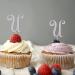 Initial U Cupcake Toppers Wedding Letter Monogram Name Glitter Silver For Wedding Anniversary Party Decor Romance Branches Leaf Choosing Letter Design Color Birthday Gifts 6PCS Style-10 - Buy Online on GoSupps.com
