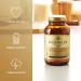Solgar B-Complex "100" 100 Vegetable Capsules - Buy Online on GoSupps.com