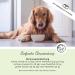 Annimally BARF Addition Powder for Dogs 1kg | Complete Vitamins & Minerals Mix for Optimal Nutrition | Dog Mineral Feed with Veggies Fruits & Vitamins - Buy Online on GoSupps.com