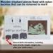 Light Gray Baby Sonogram Picture Frame | Ultrasound Photo Frame for Moms-to-Be | Perfect Pregnancy Announcement Gift - Buy Online on GoSupps.com