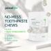 Primal Life Organics Dirty Mouth Toothpaste Chews - Nano-Hydroxyapatite Whitening Tablets for Adults - Gluten Free Vegan Paleo | Sparkling Spearmint Flavor - Buy Online on GoSupps.com