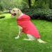 Waterproof Dog Raincoat with Reflective Strip | Zip Jacket XS-XXXL Yellow Red Navy Blue - Buy Online on GoSupps.com
