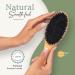 Belula Premium Boar Bristle Hair Brush Set for Thick Hair | Ideal for Women with Long, Thick, or Curly Hair | Restores Shine and Health | Includes Comb, Travel Bag, and Spa Headband | Medium - Buy Online on GoSupps.com