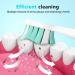 Replacement Toothbrush Heads for Philips Sonicare - Medium Soft Bristles Compatible Electric Toothbrush Refill Pack of 10 - Buy Online on GoSupps.com