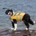 Premium Dog Life Vest & Bathing Suit - Reflective Adjustable Ripstop - XS Yellow for Small Medium & Large Dogs - Buy Online on GoSupps.com