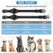 Buy Airtag Cat Collar with Safety Lock & Elastic Band - Black | Fits Kittens Cats & Puppies (23-33cm) | Secure Apple Air Tag Holder - Buy Online on GoSupps.com