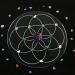 Buy Generic W sschelrutenbrett Pendulum Board - Acrylic Energy Prophecy Tool for Metaphysical Messages | International Shipping Available - Buy Online on GoSupps.com