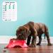 Coolrunner Pet Feeding Reminder Pet Feeding Reminder for Dogs Cats PetÂ FeedÂ Reminder Magnetic or Double Sided Adhesive Prevent Overfeeding A Pattern - Buy Online on GoSupps.com