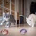 5 Pcs Interactive Cat Spring Balls - Colorful and Stretchable Cat Toys for Indoor Play | Rolling Cat Balls for Kitten - Random Color - Buy Online on GoSupps.com