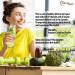Carefast Stay Planted Vanilla Flavored Plant-Based Protein Powder - 2lb Tub | Non-GMO Soy, 13g Protein | Low Carb Vegan Shakes - Buy Online on GoSupps.com