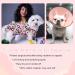 Kuoser Dog Body Suit for Post-Op Recovery | Breathable & Anti-Lick Design for Male & Female Dogs | Dark Pink - Buy Online on GoSupps.com