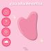 Prim+Rose Rose Quartz Gua Sha & Face Roller Set - Sculpt Massage Relieve Tension | Velvet Pouch & Sticker Sheet | International Shipping Available - Buy Online on GoSupps.com