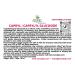 Dr Joe Lab Capryl Glucoside Liquid Surfactant - Caprylyl Natural Plant Derived - DIY Skin Care - Shower Gels Foaming Body Soap Shampoos Baby Products Face Cleansers - COCOJOJO (16 oz) 16 Ounce (Pack of 1) - Buy Online on GoSupps.com