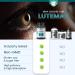 Lutemax 20mg 30 Days Supply Eye Supplement - Supports Macular Health Vision Clarity Heart Health Protects Eyes from Blue Light & Photons Antioxidant Protection GMP Certified 60 Softgel. 1 Count (Pack of 60) - Buy Online on GoSupps.com
