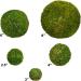 SuperMoss 25440 Moss Ball Fresh Green 2 - Pack of 4 - Buy Online on GoSupps.com