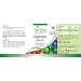 Fairvital Quercetin and Vitamin C Vegan Capsules - High Dosage Antioxidant Supplement - 120 Count - Buy Online on GoSupps.com