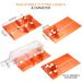 FIXM Glass Bottle Cutter - Updated Version for Various Sizes & Shapes of Bottles - Round, Square, Oval & Neck - DIY Glass Cutting Tool - Buy Online on GoSupps.com