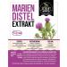 Mary Thistle Extract 80% Silymarin | 120 Vegan Capsules 450mg | High Dose Additive-Free | Made in Germany - Buy Online on GoSupps.com