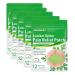 Flexiback lumbar spine pain relief plaster flexiback lumbar spine pain relief plaster flexiback natural back pain pain relief plaster (5 pack)