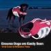 ThinkPet Reflective Dog Life Jacket - Adjustable & Floating Lifesaver Vest - Buy Online on GoSupps.com