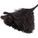Clisted 2X Ostrich Duster Dusters with Long Plastic Handle Cleaning Brush Tool Cleaning Duster Household Cleaning Tool - Buy Online on GoSupps.com