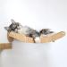 HeyKitten 17 Cat Wall Hammock for 2x4 Stud Mount - Stylish Floating Kitten Shelf for Large Cats - DIY Suspension Kitty Perch in Walnut - Buy Online on GoSupps.com