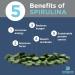 ENERGYBITS Pure Spirulina Algae Tablets Superfood Tablets Pure Blue Green Algae High Protein Chlorophyll Tablets Non-Irradiated for Energy Focus and Endurance Non-GMO 60 Tablets Small Sample Pack - 60 Tablets - Buy Online on GoSupps.com