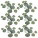 Alipis 250 Pcs Artificial Willow Leaves Faux Eucalyptus Stems Faux Eucalyptus Branches Faux Plant Greenery Stems Wedding Ceremony Decorations Garland Decorative Leaves Household Plastic Green 1x5pcs 14X13.5CMx5pcs