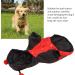 Bagima Ladybug Dog Costume - Warm Hooded Sweater for Small Dogs | Halloween & Winter Clothing | XL Black Enchanting Design - Buy Online on GoSupps.com