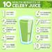 Garden Greens Organic Celery Juice Powder - 40 Servings (11.3 Oz) | Pure & Powerful - Buy Online on GoSupps.com
