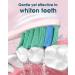 Electric Toothbrush for Adults with 6 Brush Heads - Sonic Toothbrush with Holder & Travel Case - Type C Cable - Pink - 1 Count - Buy Online on GoSupps.com