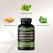 Gade Nutrition Ginkgo Biloba with Ginseng Supplement and Bacopa Monnieri | Brain Supplements for Memory and Focus with panax Ginseng & Ginko biloba Capsules - Memory Supplement for Brain - Buy Online on GoSupps.com