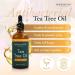 HerbOrganic Tea Tree Oil 100ml - Organic Antiseptic for Acne, Redness, Pimples & Nail Fungus - Aromatherapy - Buy Online on GoSupps.com