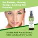 Organic Veda Moringa Oil 3.4 fl. oz - USDA Organic Cold-Pressed Edible Grade Virgin Oil for Face, Skin, Hair, Nails, Foot & Body - Buy Online on GoSupps.com