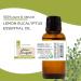 GreenHealth Lemon Eucalyptus - 1 fl oz (30 ml) Glass Bottle - 100% Pure Essential Oil - Buy Online on GoSupps.com